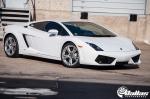 Lamborghini Gallardo Twin Turbo by Dallas Performance 2014 года